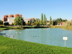 Lago de Laguna de Duero