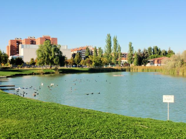 Lago de Laguna de Duero