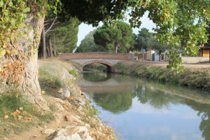 Canal del Duero